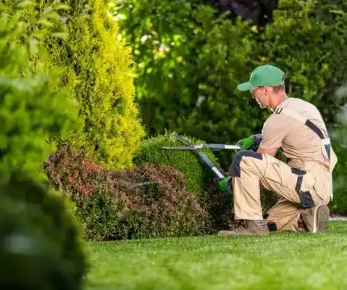Website design for Landscaping & Lawncare