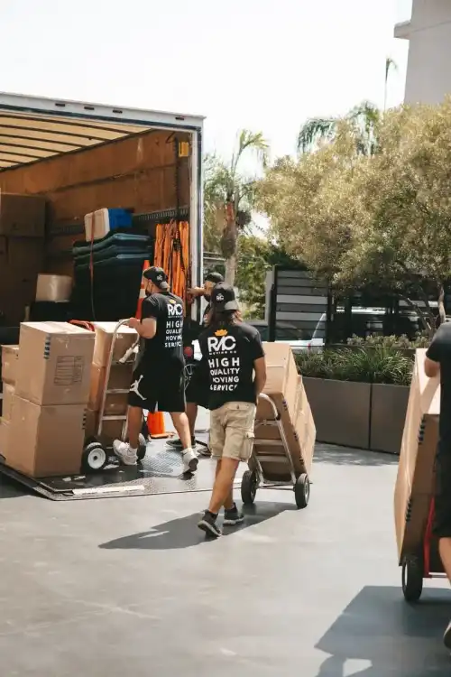 Website design for Moving & Junk
